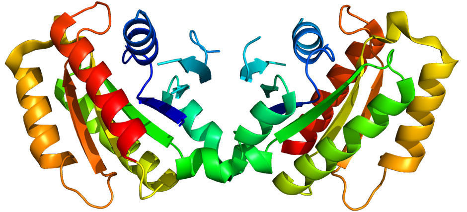 Het LRRK2-gen is geassocieerd met de ziekte van Crohn en de ziekte van Parkinson